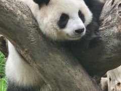-宁波野生动物园
