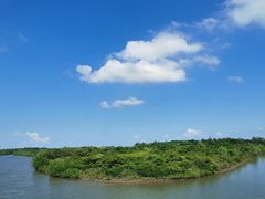 -东寨港红树林旅游区