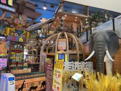 -卡通尼·Safari非洲探索乐园·生日会(金桥国际商业广场店)