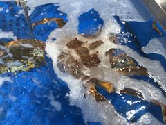 帝王蟹-七鲜超市(万向城店)