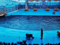 -海合安青岛极地海洋公园