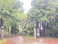 -洛阳市隋唐城遗址植物园