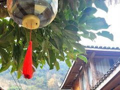 -长寿村