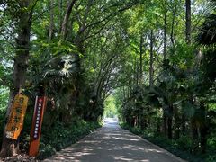 -同里国家湿地公园