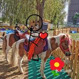 六一狂欢｜团购太优惠啦!｜一起到户外呼吸新鲜空气和萌宠玩吧！