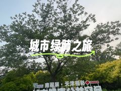 -南翠屏公园