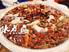 水煮鱼-红京鱼(西坝河店)