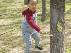 -大兴滨河森林公园