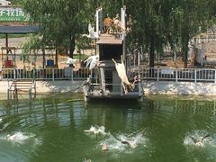 -北京鹿世界主题园