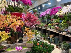 -双季花艺园艺市场(浦东店)