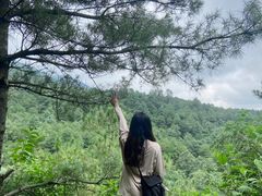 -苍山感通索道