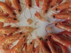 -8号厚厨(凤凰店)