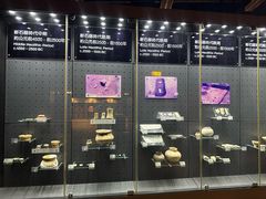 -九龙公园