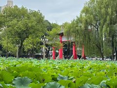 -四川大学(望江校区)