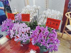 -希望日本料理(保利香槟花园店)