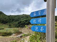 -鼓岭旅游度假区