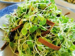 -百花人家(清水田园店)