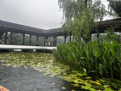 -西湖游船