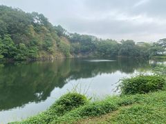 -王借岗森林公园
