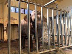 -石家庄市动物园