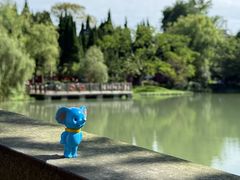 -昆山城市生态森林公园