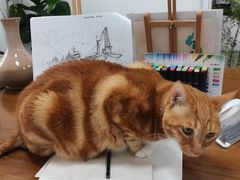 -青沐画室·专业美术培训