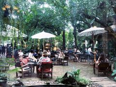 -Fern Forest Cafe