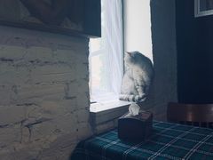-不舍昼夜咖啡馆
