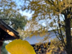 -西湖风景区十里琅珰-五云山