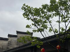 -鸣鹤古镇