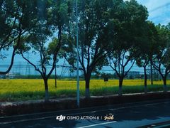 -韩湘水博园