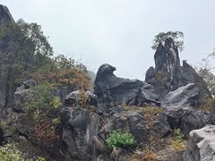 -玉石林风景区
