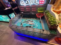-山河屯铁锅炖鲜鹅·东北菜(开发区一店)