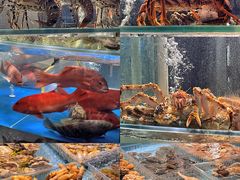 -1718海鲜姿造(苏宁宴请臻选店)