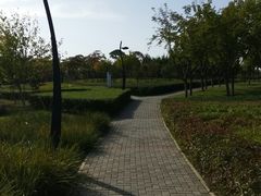 -洨河生态公园