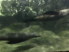 -南昌海洋公园