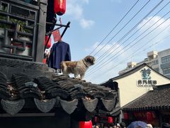 -葑门横街