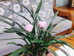 -水立方国际汤泉(六一中路店)