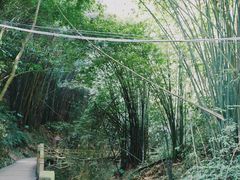 -凤栖山