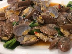 -长平肥姐白粥·海鲜打冷