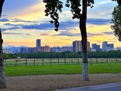 -汉长安城未央宫国家考古遗址公园