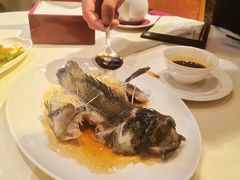 去骨清蒸原条珍珠斑-利苑酒家(华熙国际店)