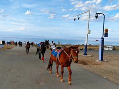 -青海湖国家重点风景名胜区