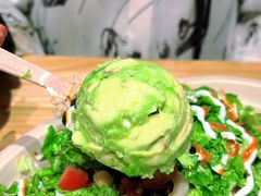 -油梨树AVOCADO TREE(嘉里中心店)