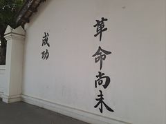-长洲岛
