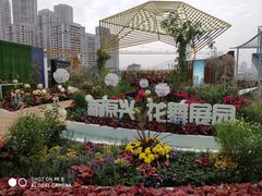 -重庆市江北嘴中央商务区中央公园