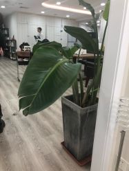 点击看大图 -梳蕾娜 HAIR SALON