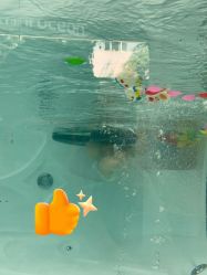 -雏芽婴幼儿游泳·小美医生小儿推拿(西村店)