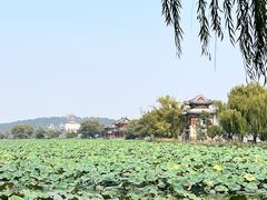 -颐和园