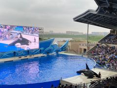 -上海海昌海洋公园